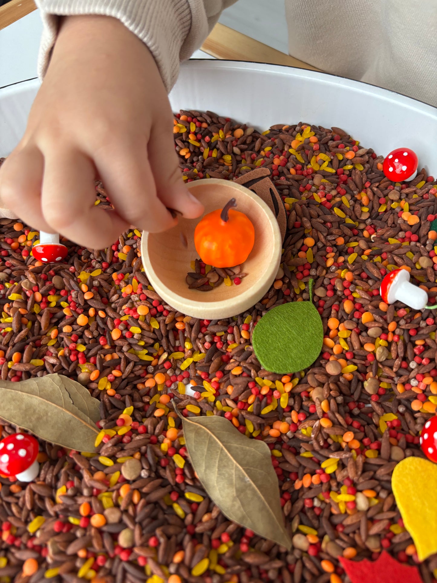 Sonbahar Duyusal Kiti