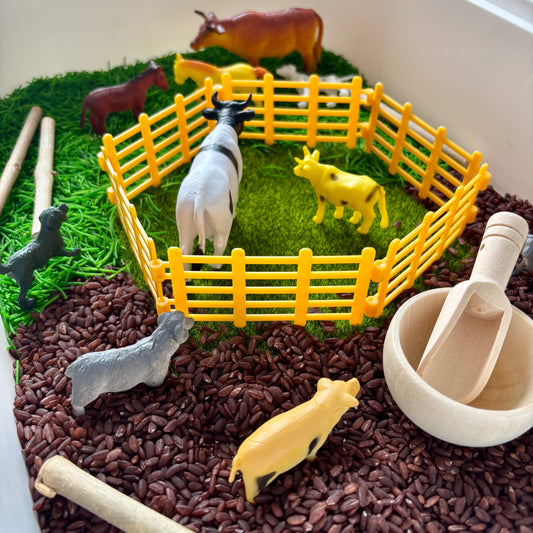 Çiftlik Hayvanları Duyusal Kiti