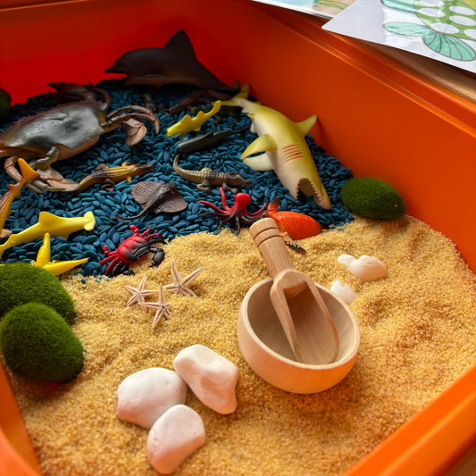 Okyanus Canlıları Duyusal Kiti