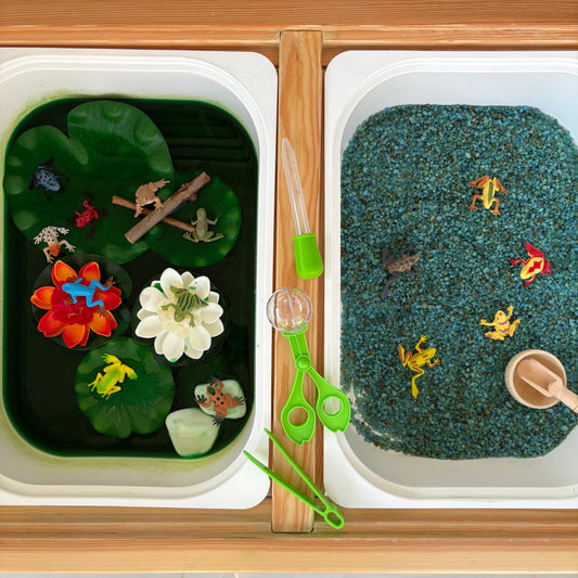 Kurbağalar Duyusal Kiti