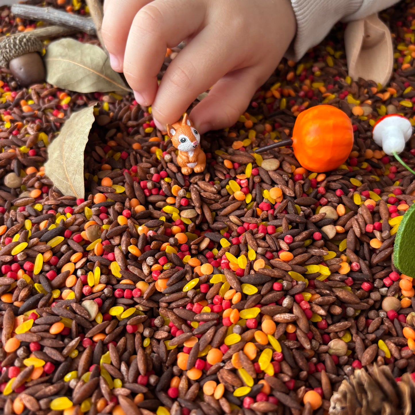 Sonbahar Duyusal Kiti