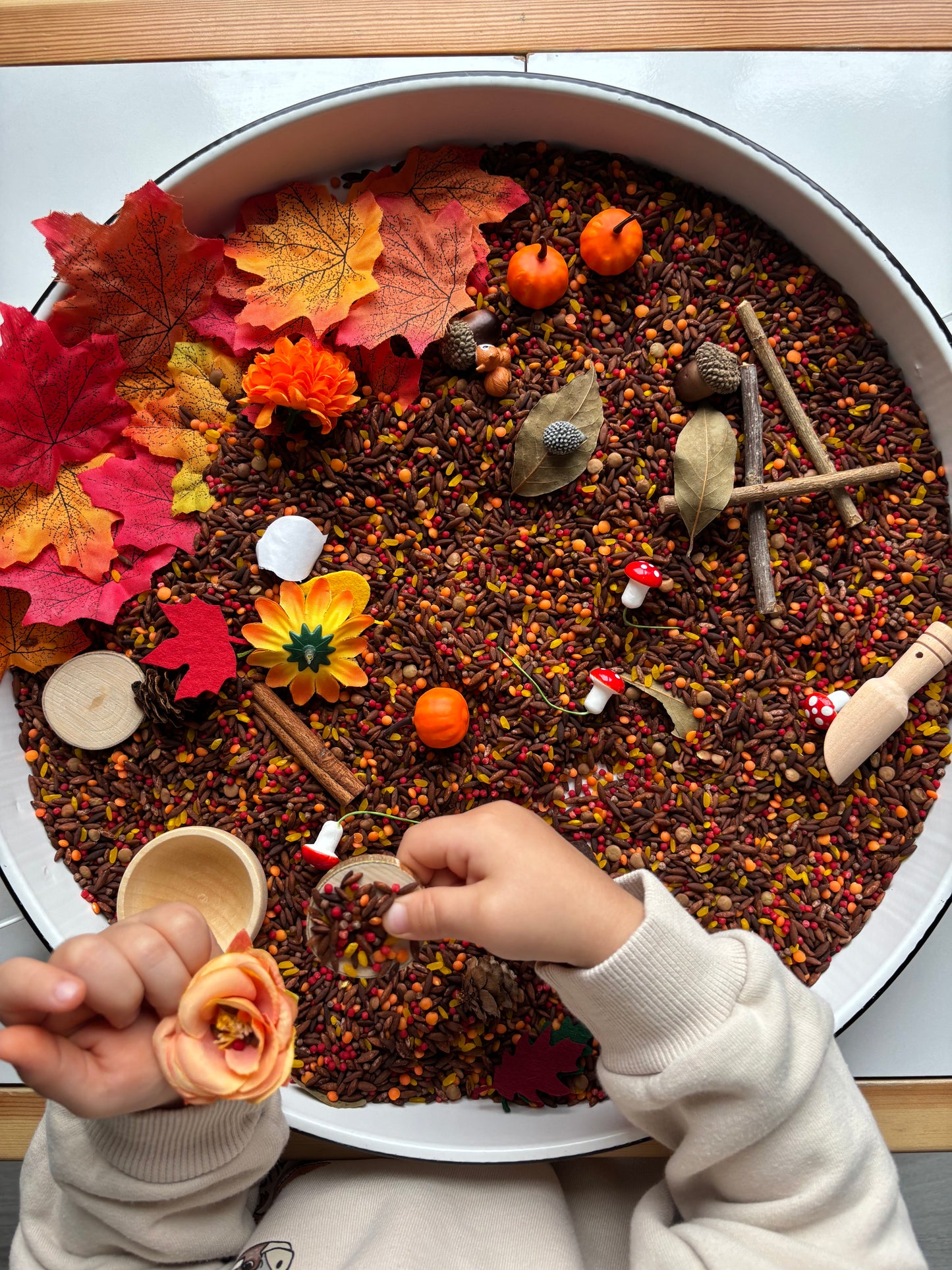 Sonbahar Duyusal Kiti