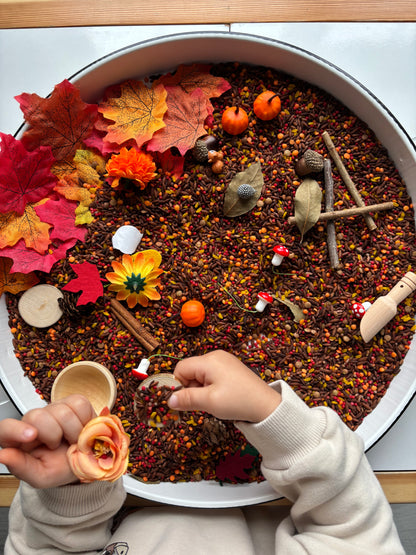 Sonbahar Duyusal Kiti