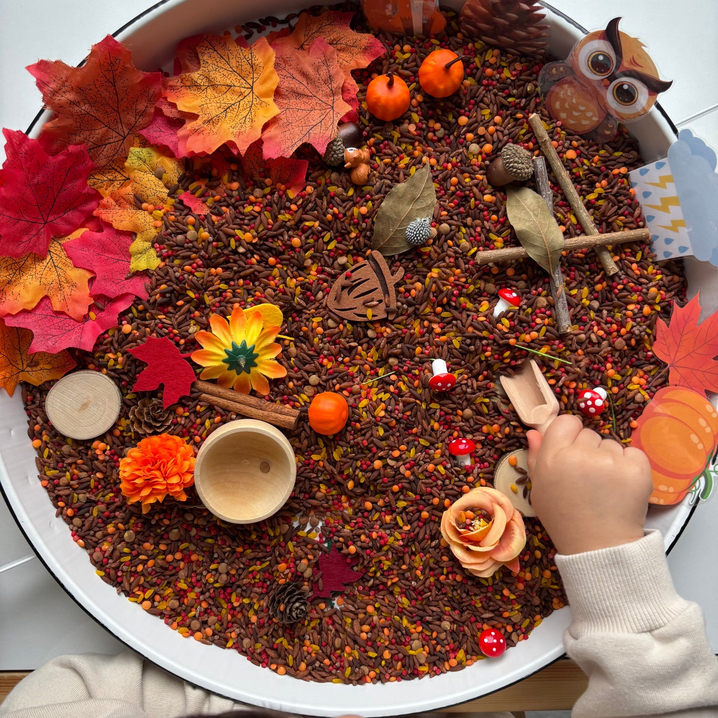 Sonbahar Duyusal Kiti