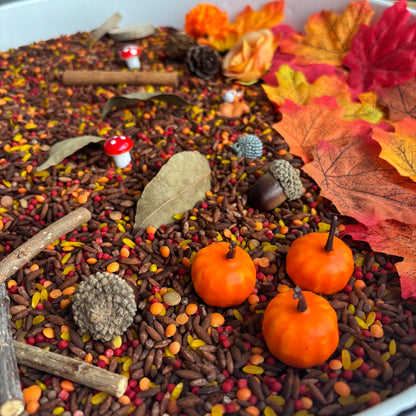 Sonbahar Duyusal Kiti