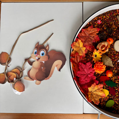 Sonbahar Duyusal Kiti