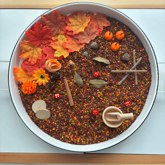 Sonbahar Duyusal Kiti