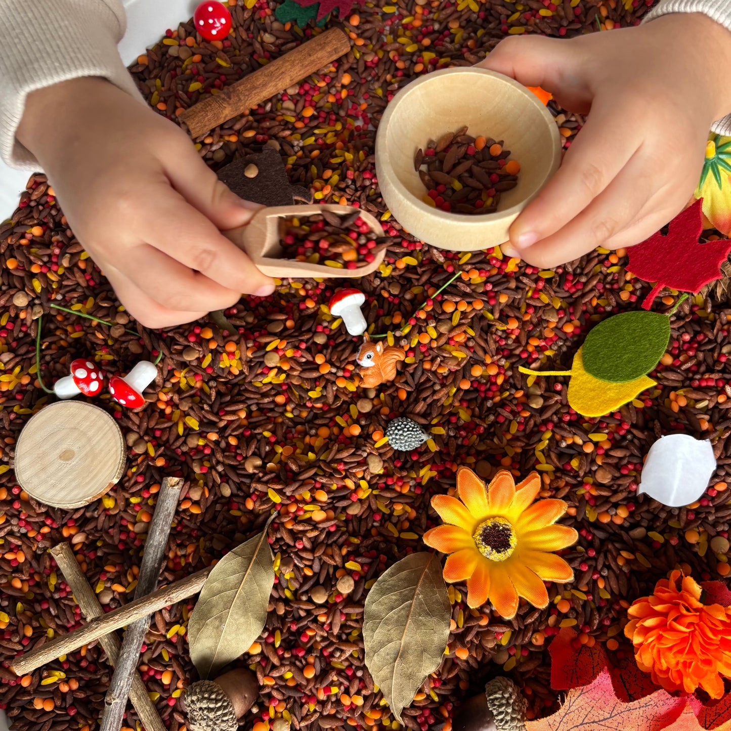 Sonbahar Duyusal Kiti