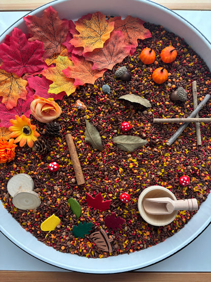 Sonbahar Duyusal Kiti