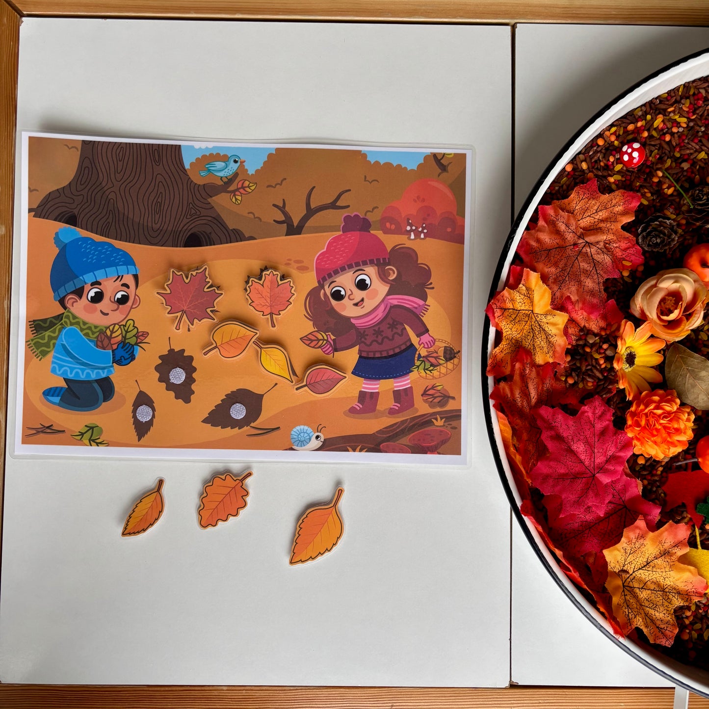 Sonbahar Duyusal Kiti