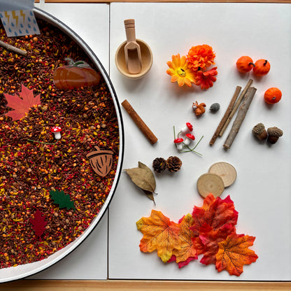 Sonbahar Duyusal Kiti