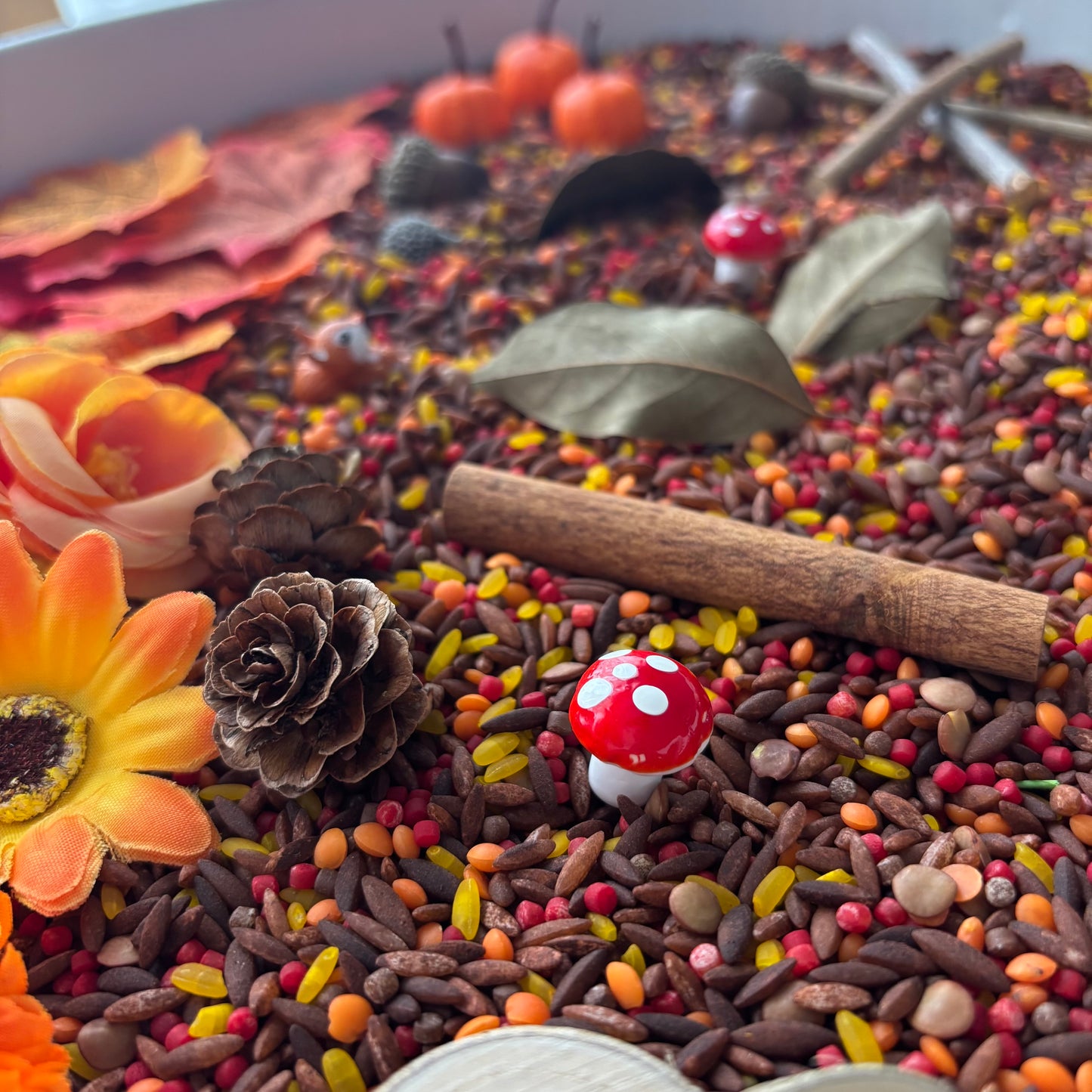 Sonbahar Duyusal Kiti