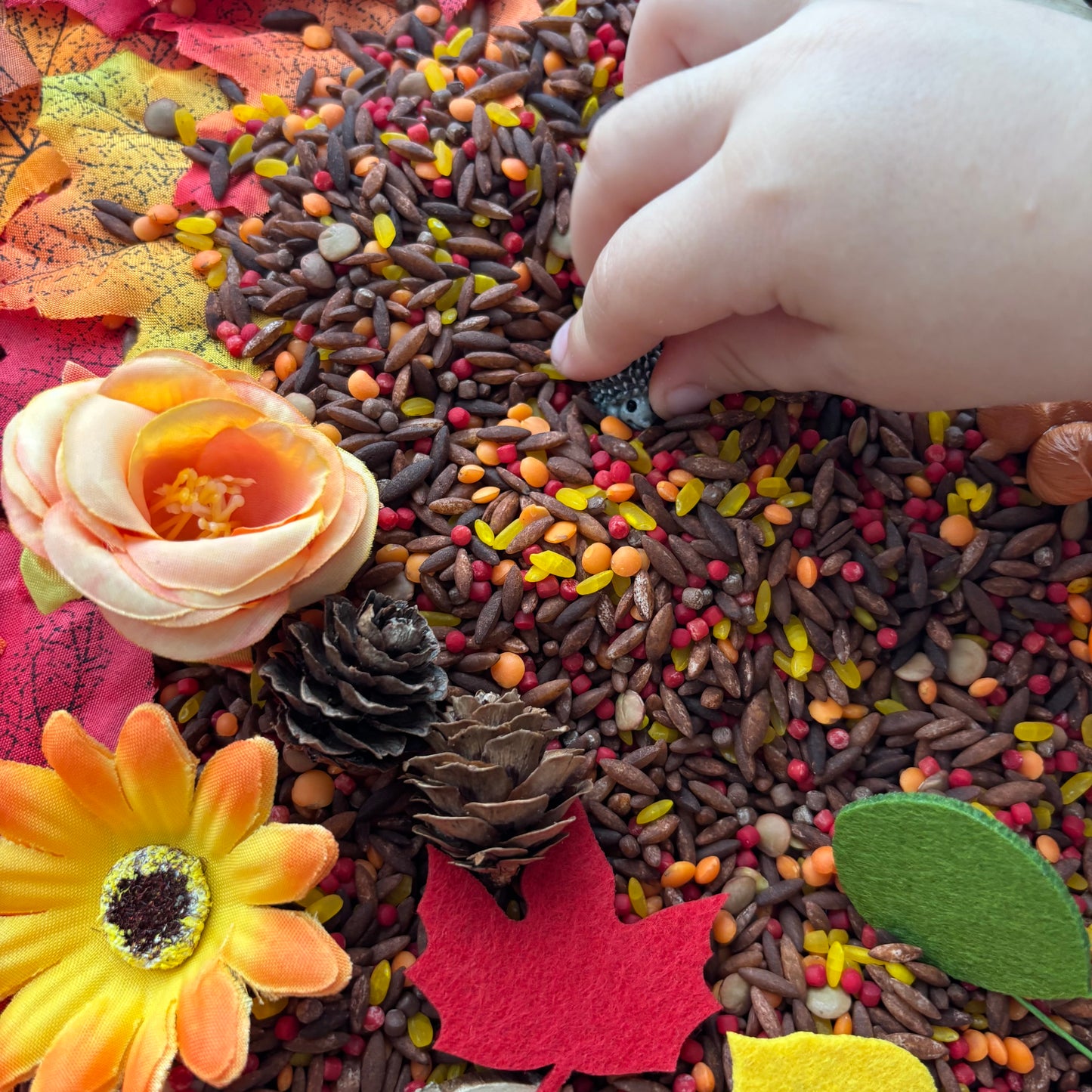 Sonbahar Duyusal Kiti